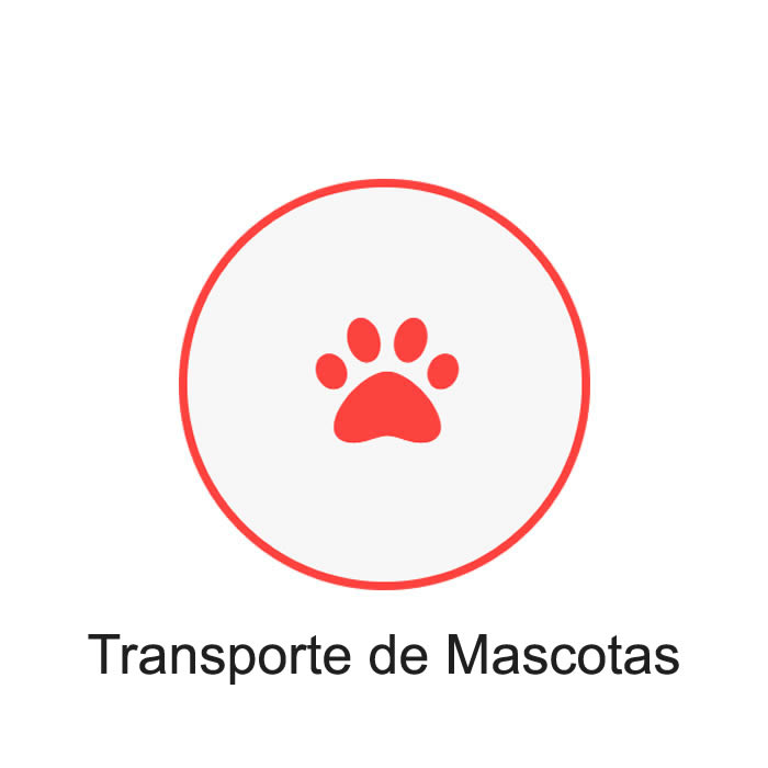 Transporte de Mascotas